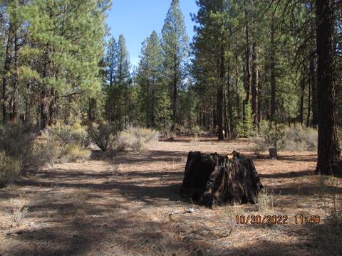 lot2 Corbell Dr, Chiloquin, OR 97624