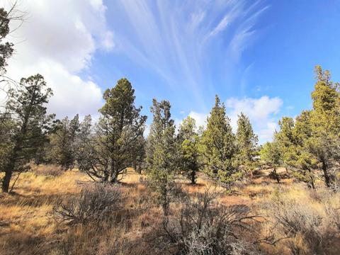 Tl3200 SE Pleasant View Street, Prineville, OR 97754
