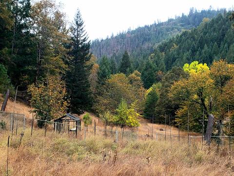 3969 Old Ferry Rd, Shady Cove, OR 97539