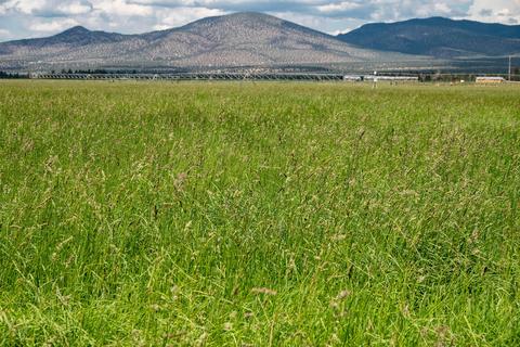 63025 Schmidt Rd, Bend, OR 97701 photo 54