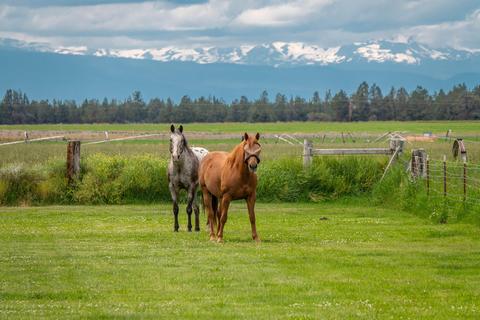 63025 Schmidt Rd, Bend, OR 97701 photo 51