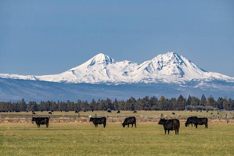 63025 Schmidt Rd, Bend, OR 97701 photo 1