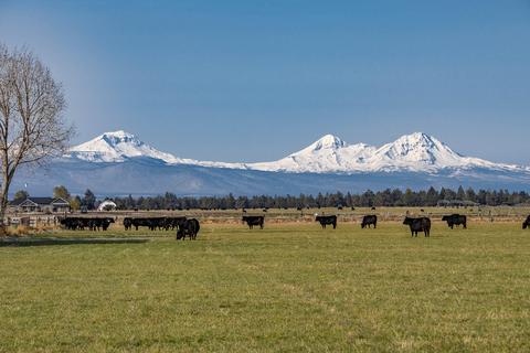 63025 Schmidt Rd, Bend, OR 97701 photo 36