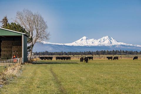 63025 Schmidt Rd, Bend, OR 97701 photo 39