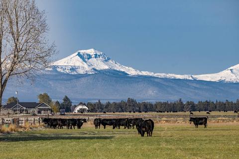 63025 Schmidt Rd, Bend, OR 97701 photo 37