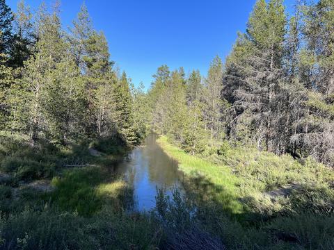 Cloudcap Drive, Chiloquin, OR 97624 photo 3