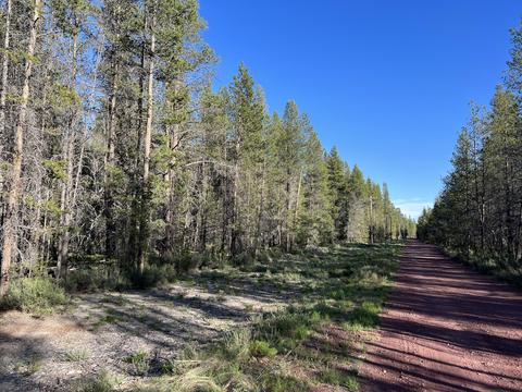 Cloudcap Drive, Chiloquin, OR 97624