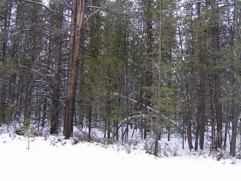 Cloudcap Drive, Chiloquin, OR 97624 photo 7