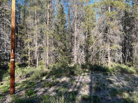 Cloudcap Drive, Chiloquin, OR 97624 photo 2