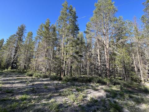 Cloudcap Drive, Chiloquin, OR 97624 photo 5