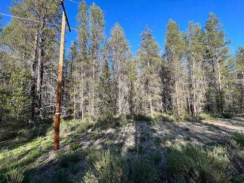 Cloudcap Drive, Chiloquin, OR 97624 photo 4