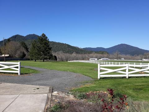 375 Eakin Rd, Azalea, OR 97410 photo 3