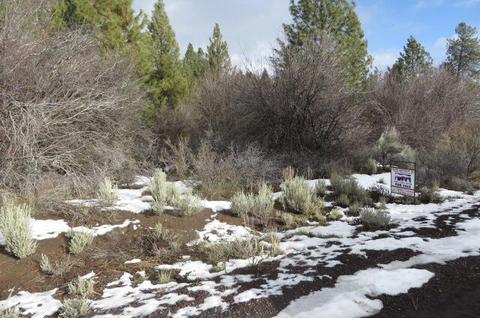 B45 L10 Treeland Road, Chiloquin, OR 97624