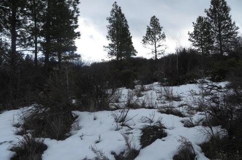 B 11 L 4 Forest View Drive, Chiloquin, OR 97624
