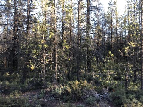 munson drive #BLOCK 3 2, Chiloquin, OR 97624