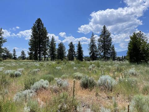mark court #BLOCK 1 31, Chiloquin, OR 97624