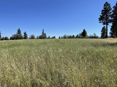 kerry drive #BLOCK 31 5, Chiloquin, OR 97624