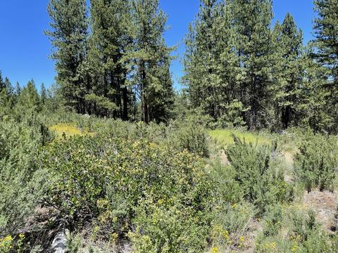 south waterview way #BLOCK 3 8, Chiloquin, OR 97624