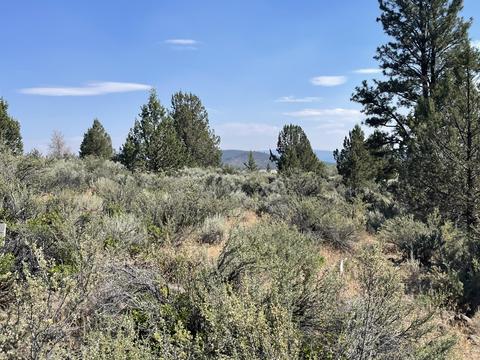 harney street #BLOCK 69 4, Sprague River, OR 97639