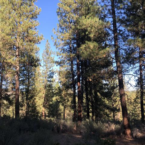 stillwater way #BLOCK 3 15, Chiloquin, OR 97624