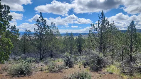 Tl 62 SE Osprey Road, Prineville, OR 97754