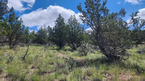 tbd SE Terrible Trl, Prineville, OR 97754