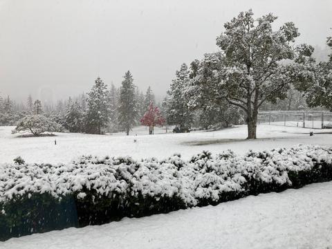 726 Busch Rd, Trail, OR 97541 photo 69