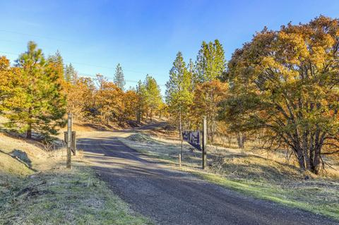 726 Busch Rd, Trail, OR 97541 photo 51