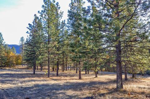 726 Busch Rd, Trail, OR 97541 photo 50