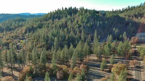 726 Busch Rd, Trail, OR 97541 photo 54