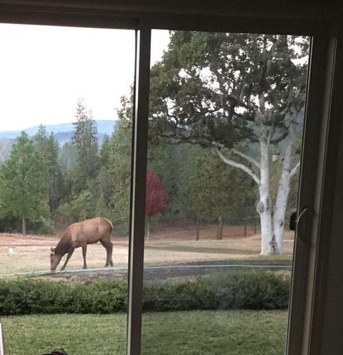 726 Busch Rd, Trail, OR 97541 photo 65