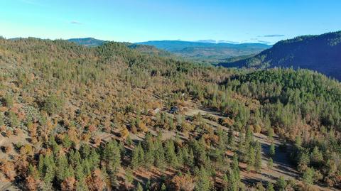 726 Busch Rd, Trail, OR 97541 photo 55
