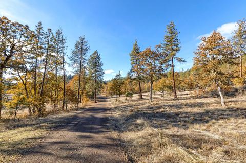 726 Busch Rd, Trail, OR 97541 photo 45