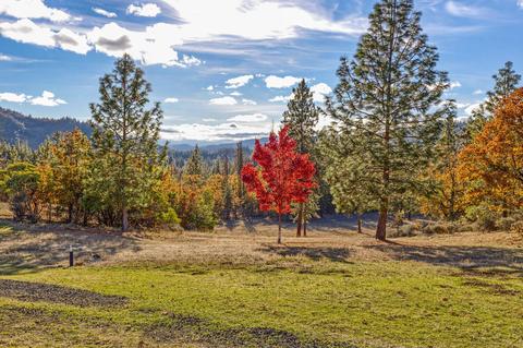 726 Busch Rd, Trail, OR 97541 photo 39