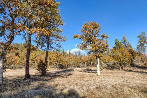 726 Busch Rd, Trail, OR 97541 photo 43
