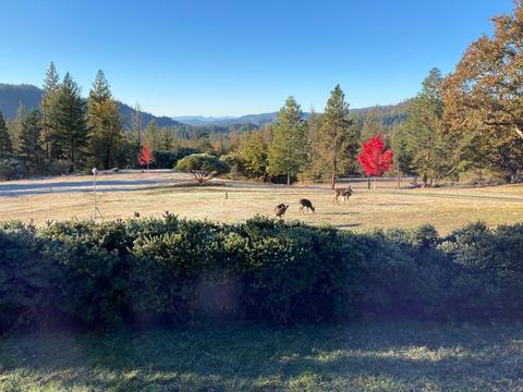 726 Busch Rd, Trail, OR 97541 photo 71