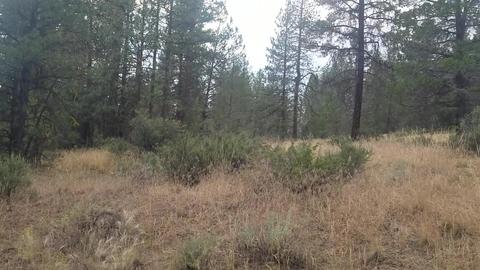 Tableland Road, Chiloquin, OR 97639 photo 6