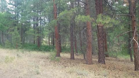 Tableland Road, Chiloquin, OR 97639 photo 2
