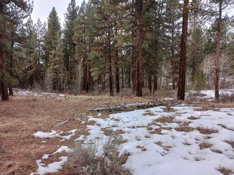 Tableland Road, Chiloquin, OR 97639 photo 10