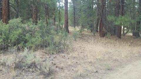 Tableland Road, Chiloquin, OR 97639 photo 8