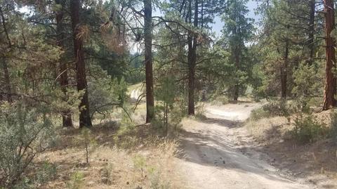 Tableland Road, Chiloquin, OR 97639