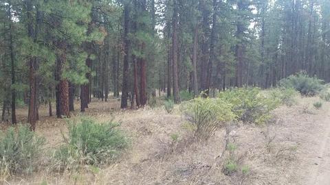 Tableland Road, Chiloquin, OR 97639 photo 4