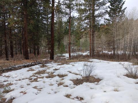 Tableland Road, Chiloquin, OR 97639 photo 11