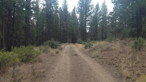 Tableland Road, Chiloquin, OR 97639 photo 5