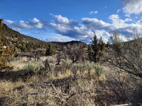 16300 SE Juniper Canyon Rd, Prineville, OR 97754