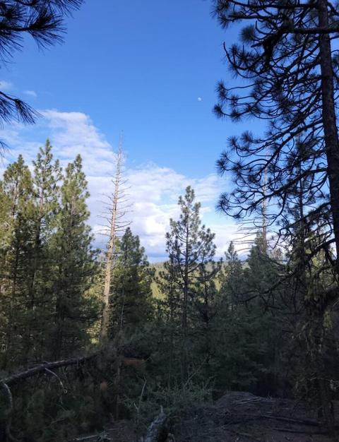 lot65 N Kingfisher Dr, Bonanza, OR 97623