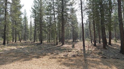 56307 Mirror Rock Loop, Bend, OR 97707 photo 1
