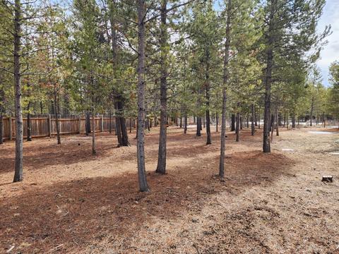 55115 Tamarack Rd, Bend, OR 97707 photo 25