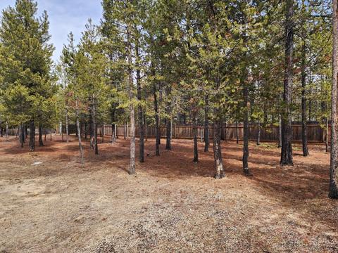 55115 Tamarack Rd, Bend, OR 97707 photo 28