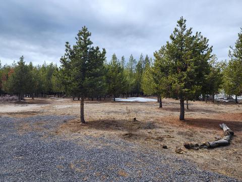 55115 Tamarack Rd, Bend, OR 97707 photo 6